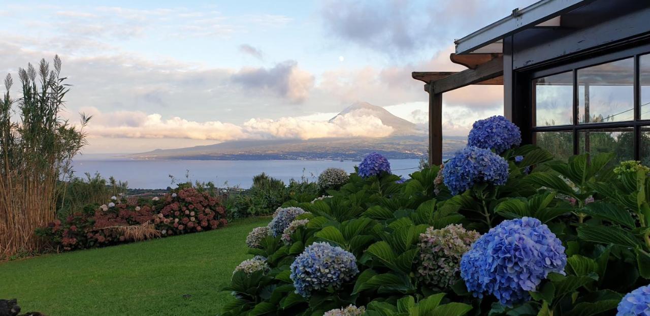 Casa Vista Fantastica Villa Pedro Miguel Eksteriør bilde